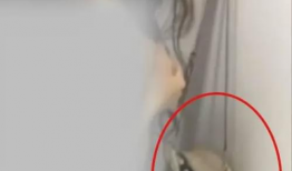 美女啪啪视频,揭秘美女啪啪视频背后的故事